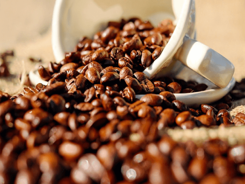 Coffee beans spilling out of a turned over white coffee cup